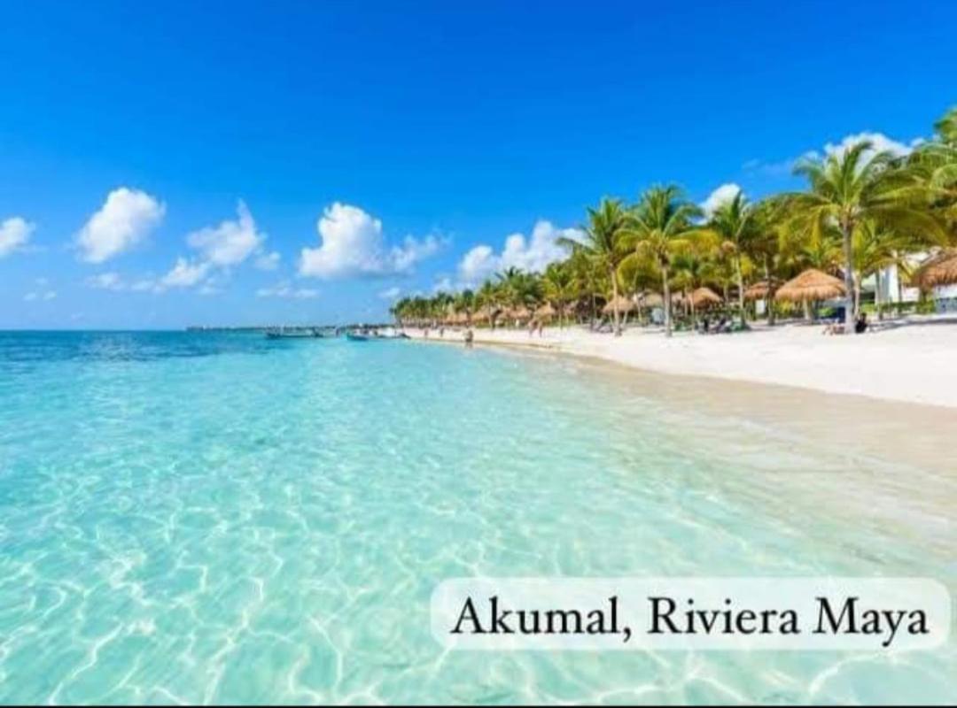 El Ultimo Maya อากุมัล ภายนอก รูปภาพ